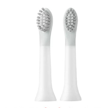 Electric Toothbrush