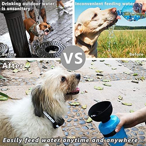Pet Outdoor Foldable Water Bottle