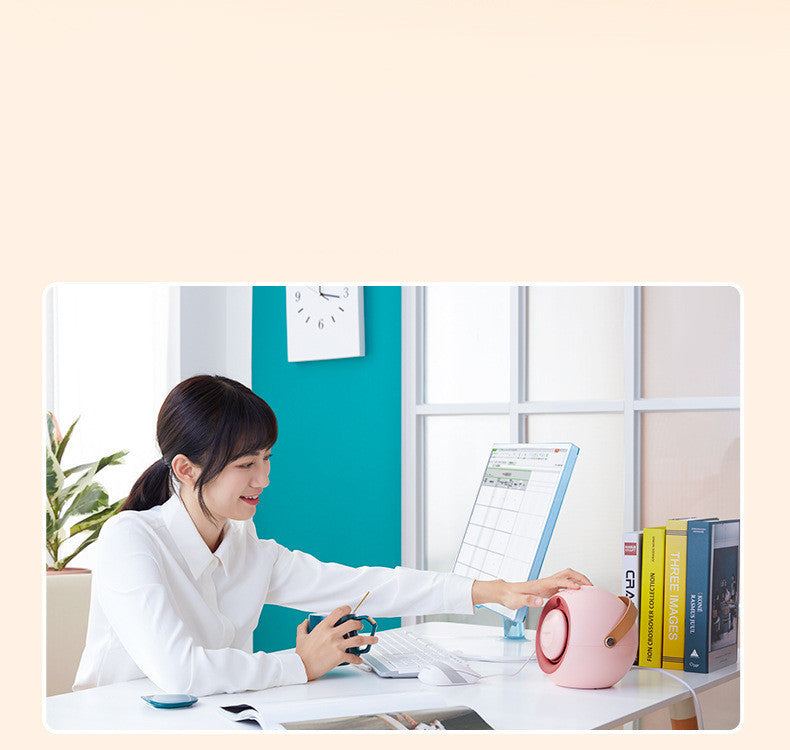 Mini Humidification Electric Heater