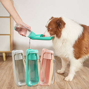 Large Dog Drinking Bottle
